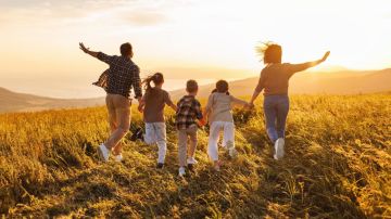 В 2026 году Социальный фонд расширяет меры поддержки семей с детьми