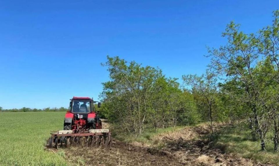 � ����������� ������� ������� ����� ���� � ����� ������� ���������