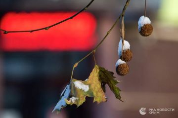 ������ �� ����� ����������� ������