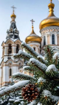 ������ ����!. ������� � ���������, ��������� ���� ��������������� �����