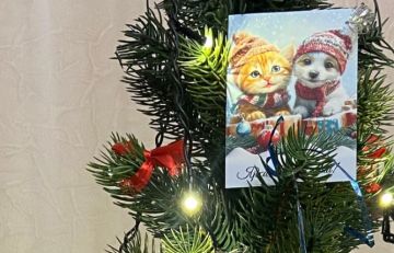 ���� �� ����������� ������� �������� ���������� ��������� � ������