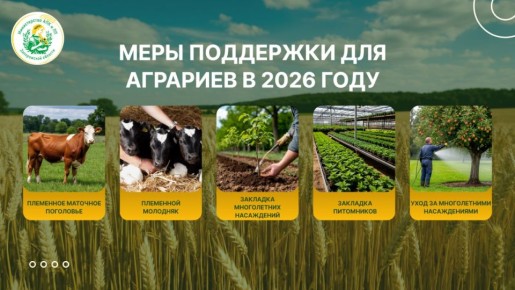 ����� ���� ��������� �������� ��� �������� ����������� ������� � 2026 ����