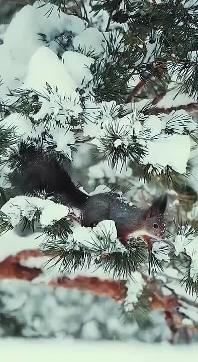 ������ ����!. ������� ��������� � �����������, ������ ���� � ������ ���! �������������� �� "�������������� �����"