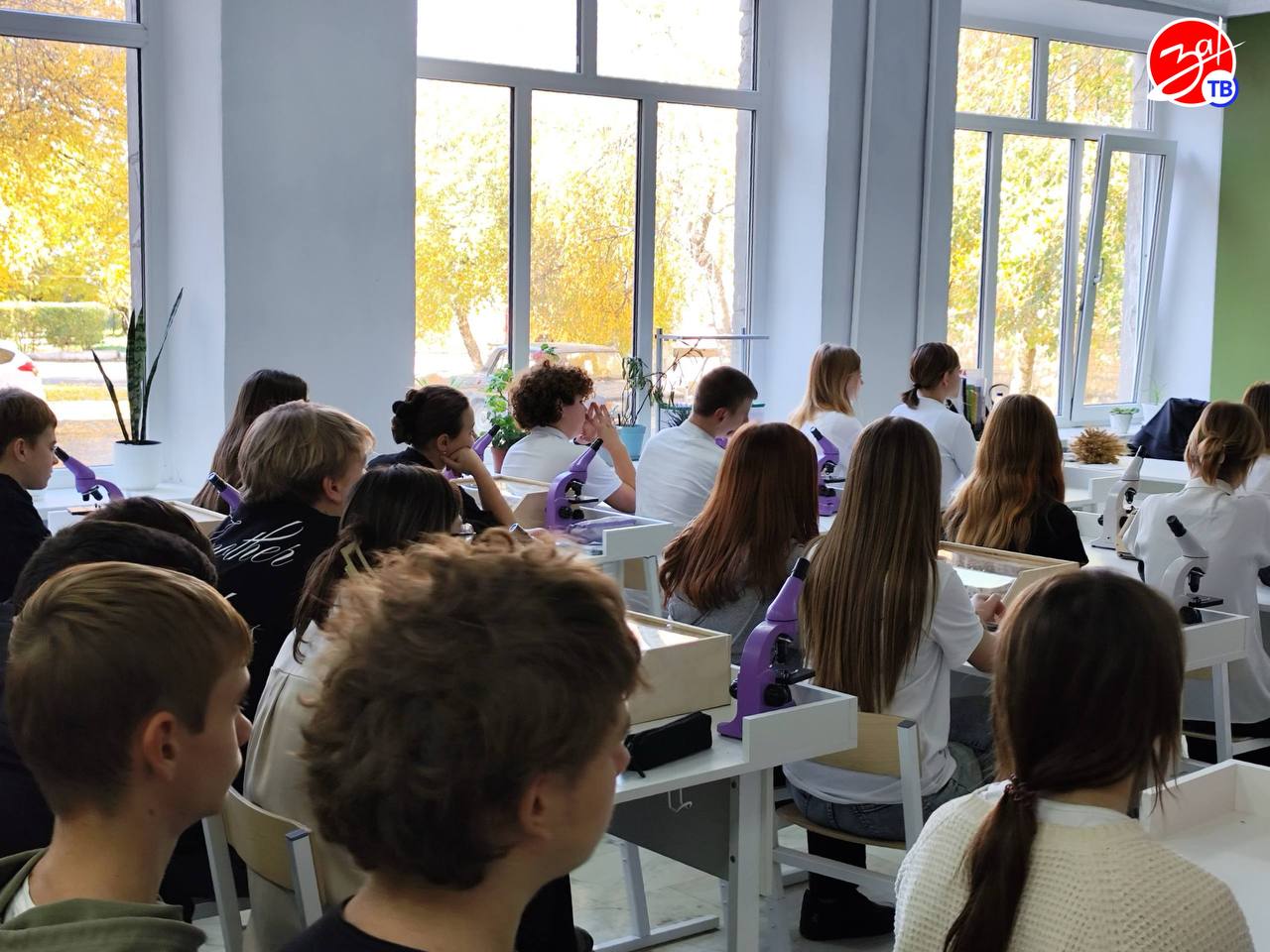 Подведены итоги первого года реализации нацпроекта по продовольственной безопасности