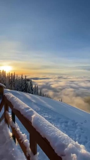 ������ ����! ������ ����� ����� ���� � ����� �����������!