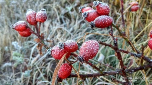 ������ �� ����� ����������� ������