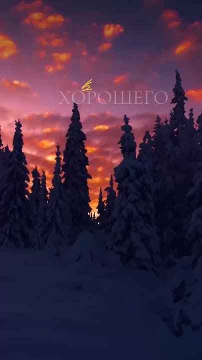 Доброй ночи! Завтра будет новый день и новые возможности!