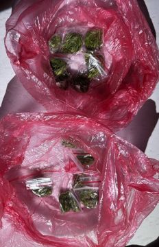 Партию запрещенных веществ изъяли мелитопольские полицейские на одном из блокпостов