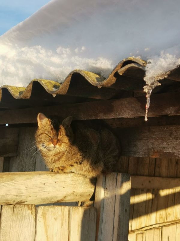 ������ ����, �������������� �����!