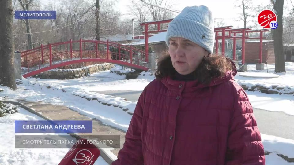 В Мелитополе заботятся о пернатых: как в парке Горького зимуют птицы