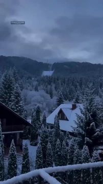 ������ ����! ������ ����� ����� ���� � ����� �����������!