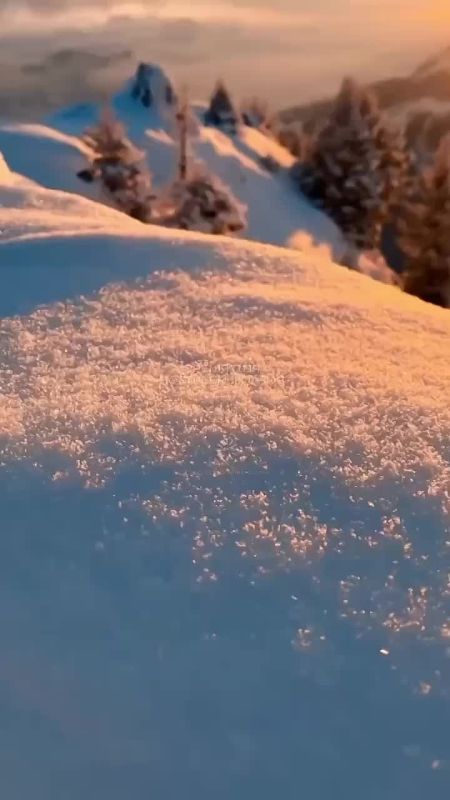 Доброй ночи! Завтра будет новый день и новые возможности!