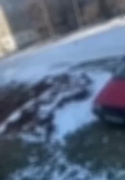 ����� �� ���������� - ��� ������� ����� ���