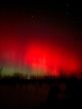 ������ ���� �� ���� ��������������!