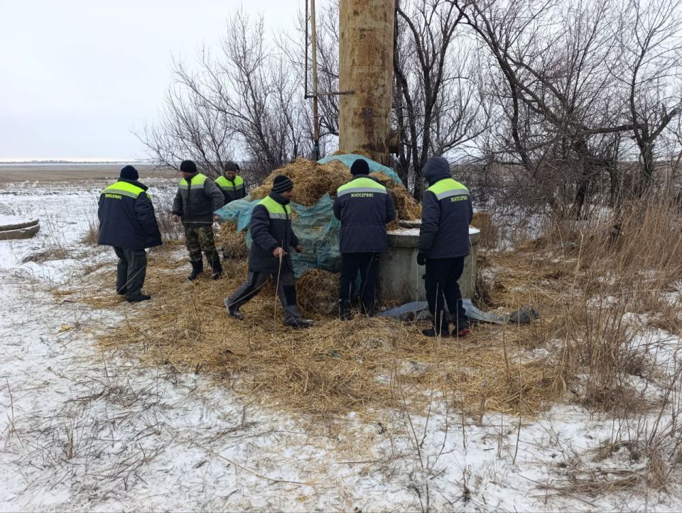 ���������� ��������� ������ ��� ���������� ������� ����������� ������ ��� ����� ���������� � ���� ������������