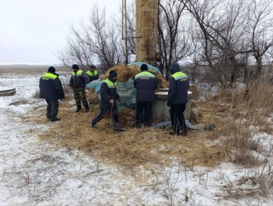 Сотрудники аварийной службы МБУ «Жилсервис» оказали оперативную помощь ГУП «Вода Запорожья» в селе Новоакимовка