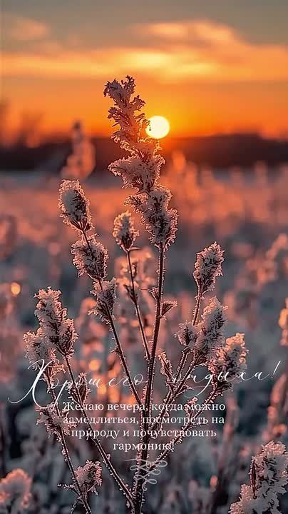 Доброй ночи! Завтра будет новый день и новые возможности!