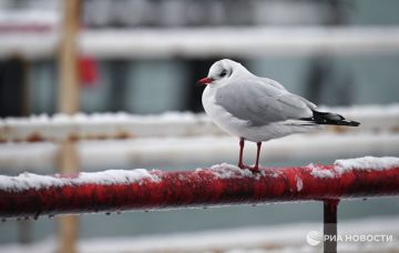Погода на новых территориях России