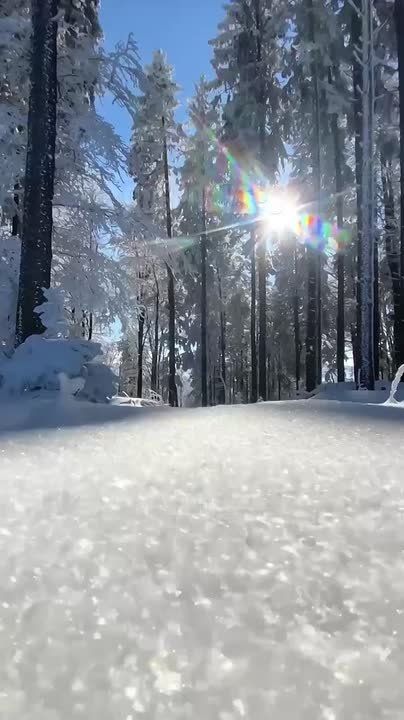 Доброго утра, дорогие мелитопольцы!!!