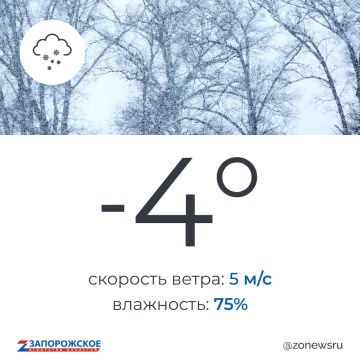 Пасмурная погода с небольшим снегом будет в Запорожской области в субботу