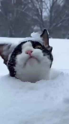 ������� ������!. ������� ������ ��������� ���������, ������� ����� ��������� �� �����, ����������� ����������� ������� � ��������� ������� ��� ����� �������� ������