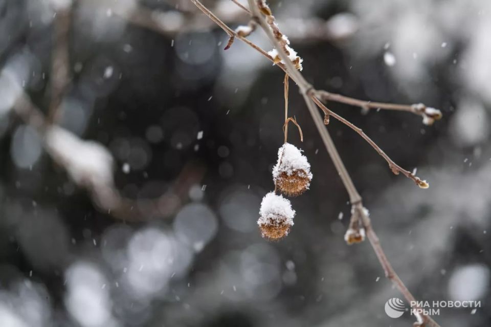 ������ �� ����� ����������� ������