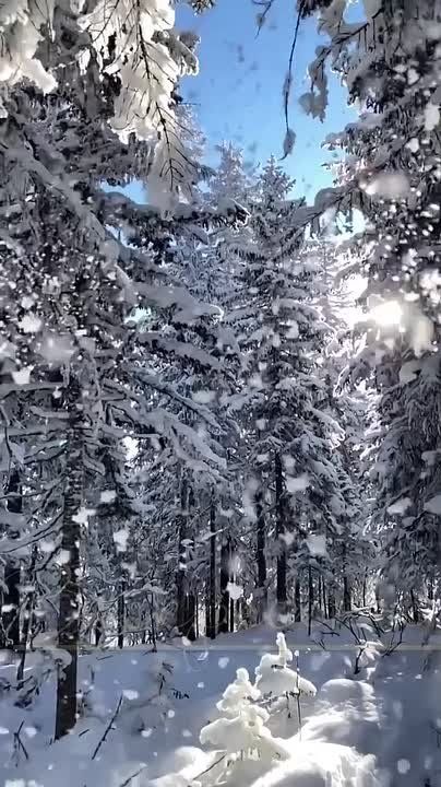 Доброго утра, дорогие мелитопольцы!!!