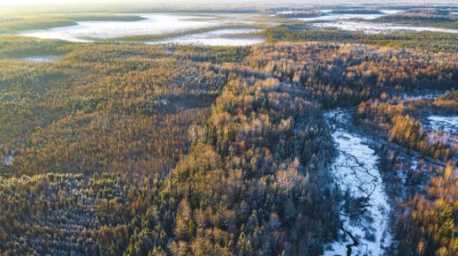 В Запорожской области создан национальный парк «Великий Луг»
