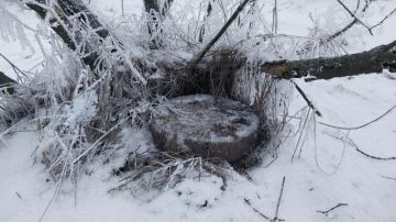 В Мелитопольском районе сотрудниками полиции Запорожской области были выявлены боеприпасы