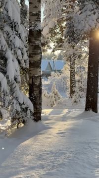 Доброе утро!. Сегодня — понедельник, 26 января