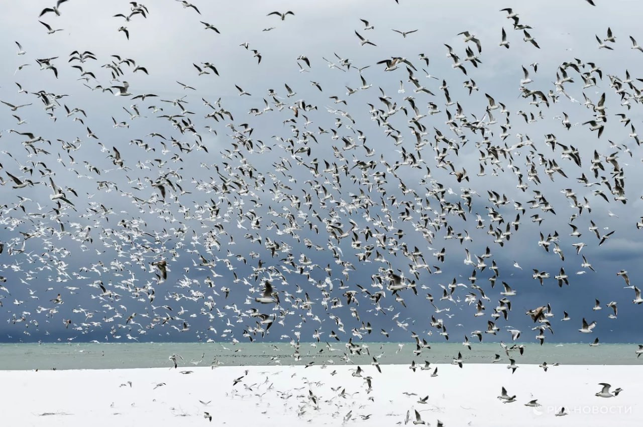 Погода на новых территориях России