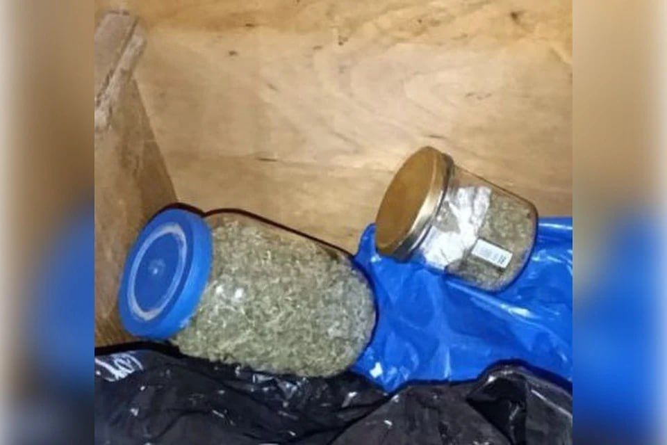 � ����������� ���� ������ ������� ������ �������