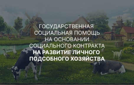 В Запорожской области действует Указ Губернатора Запорожской области от 11.02.2025 № 64-у «О внесении изменения в указ Губернатора Запорожской области от 13.11.2023 № 91-у «Об оказании государственной социальной помощи на...