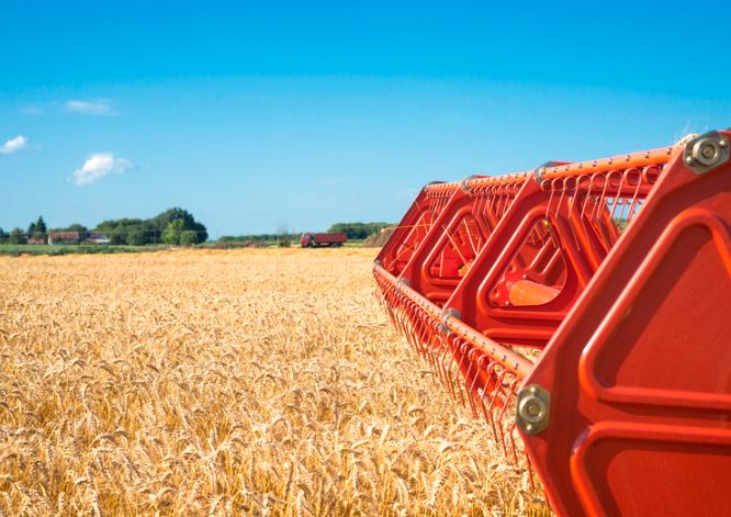 В Запорожской области подтвердили качество почти 2 тысяч тонн семян озимых