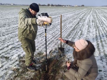 В Запорожской области проверили состояние озимых