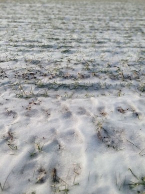 ��� ��������� ���� ������ ���� �����?