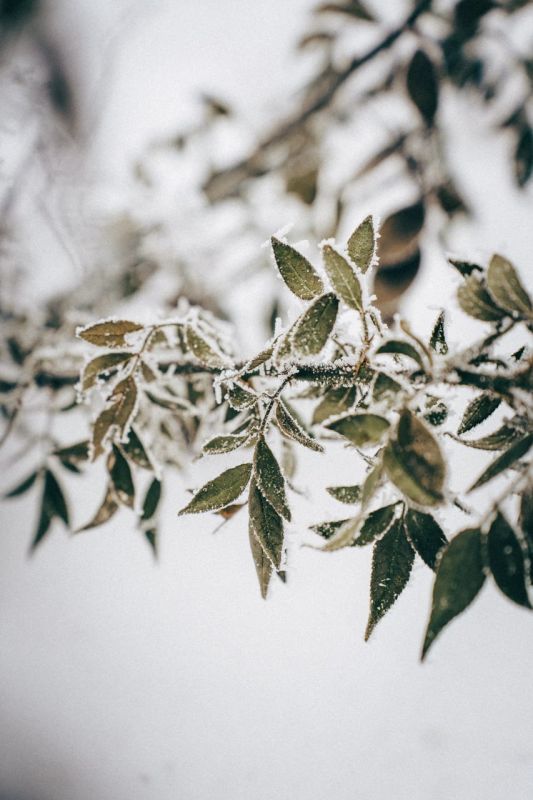 Продолжаем рубрику «Красота — она в деталях»!
