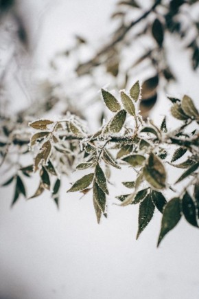 Продолжаем рубрику «Красота — она в деталях»!