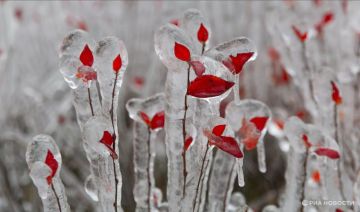 Погода на новых территориях России