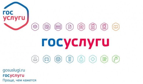 Госуслуги без лишних хлопот: «Цифровая Гвардия» поможет жителям Михайловки