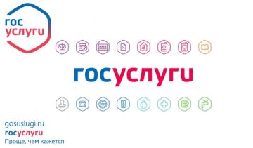 Госуслуги без лишних хлопот: «Цифровая Гвардия» поможет жителям Михайловки