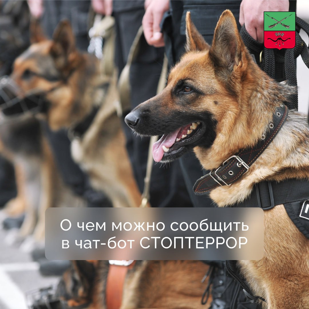 Куда обращаться при обнаружении подозрительного предмета