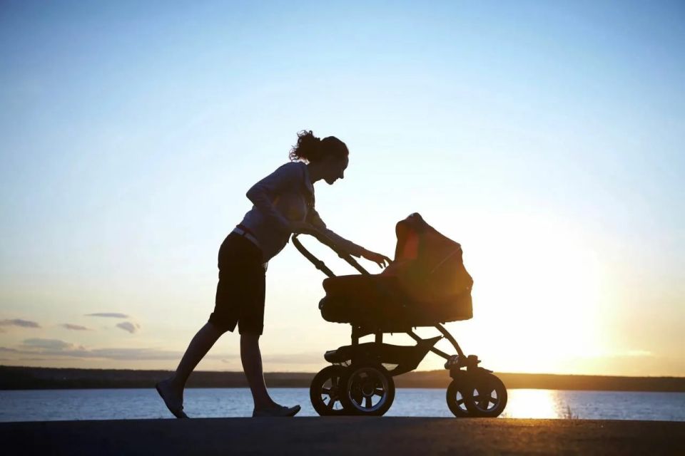 ������ ������� ������� ������� � ������� 2026 ����