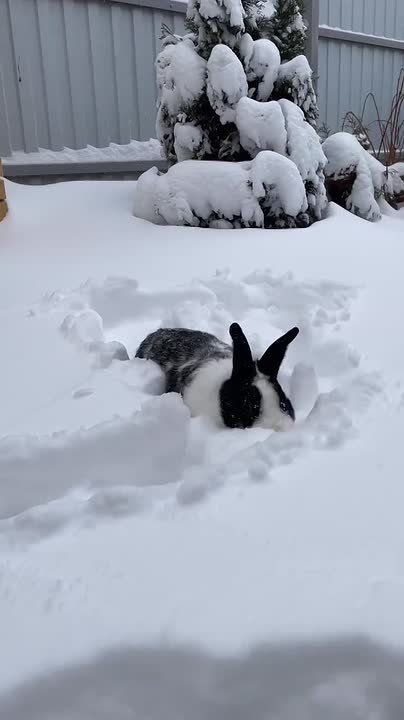 ������ ����!. ������� � �����������, 8 �������