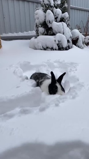 ������ ����!. ������� � �����������, 8 �������