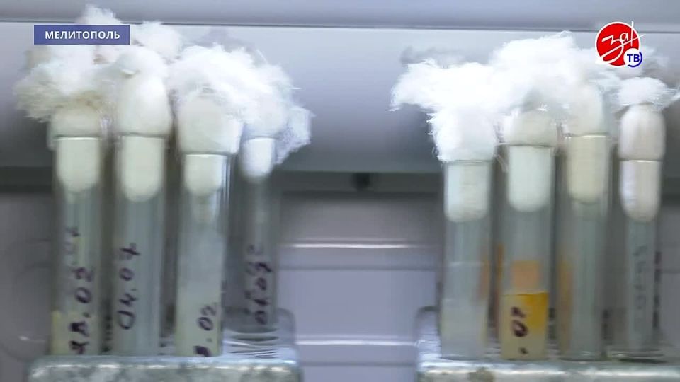 �������� � ������� ���������� ��������������� ��������������� ���������� ������� ��������������