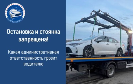 ���������� ���������������� ����������: ������������ ��������� � ������� ������ ������, ��������� ���������� �������� � ����������� ���� ���