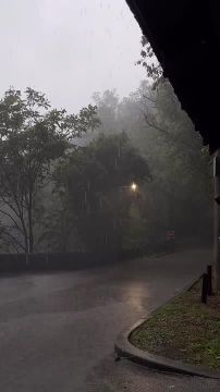 ������ ����!. ������� � �������, 14 �������