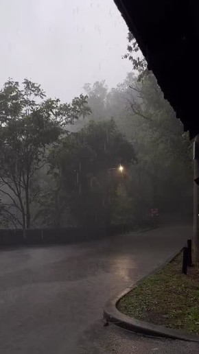 ������ ����!. ������� � �������, 14 �������