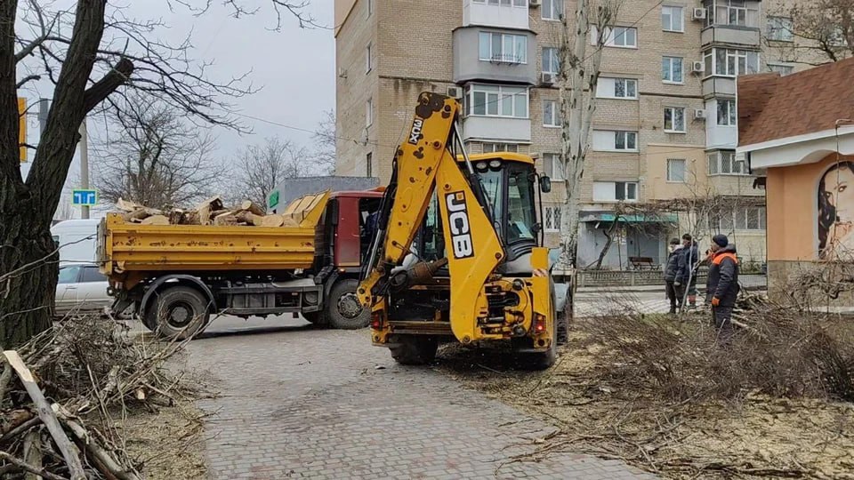 Деревья падали на машины и здания: В Мелитополе ликвидируют последствия непогоды
